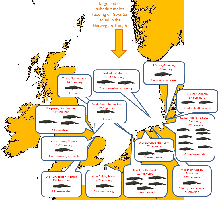 Strandings Map