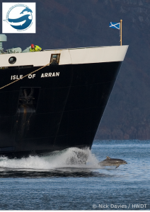 Clet bow-riding the MV Isle of Arran Ferry