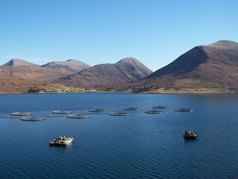 Loch Ainort Fish Farm, Scotland