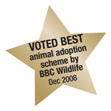 Best adoption scheme 2010