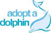Adopt a Dolphin - 