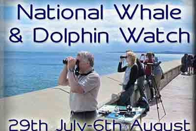 National Whale & Dolphin Watch