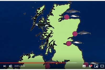 Exciting new sightings/weather reports