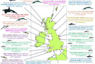 UK Whale & Dolphin April Sightings