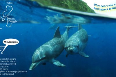 Mikura Dolphins in Japan