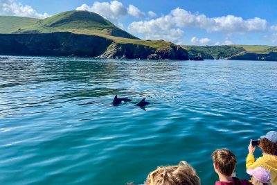 Visitors in New Quay for the summer