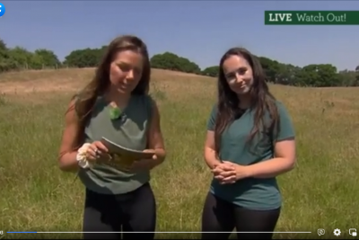 What BBC Springwatch have to say about us!