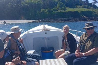 A Real Life Cornish Treasure Island!