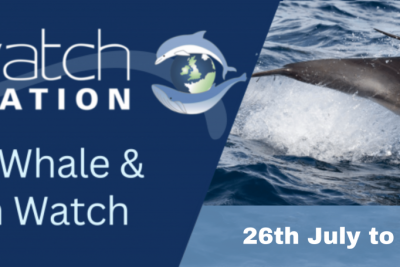 National Whale & Dolphin Watch Just Around The Corner!