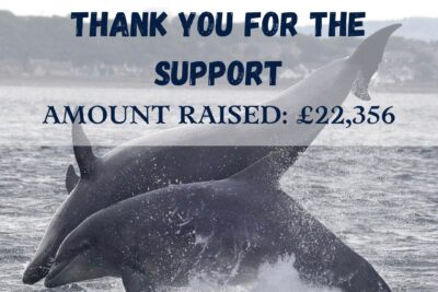 Amazing Results from The BIG Give!