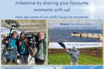 35 Years Of Sea Watch Foundation